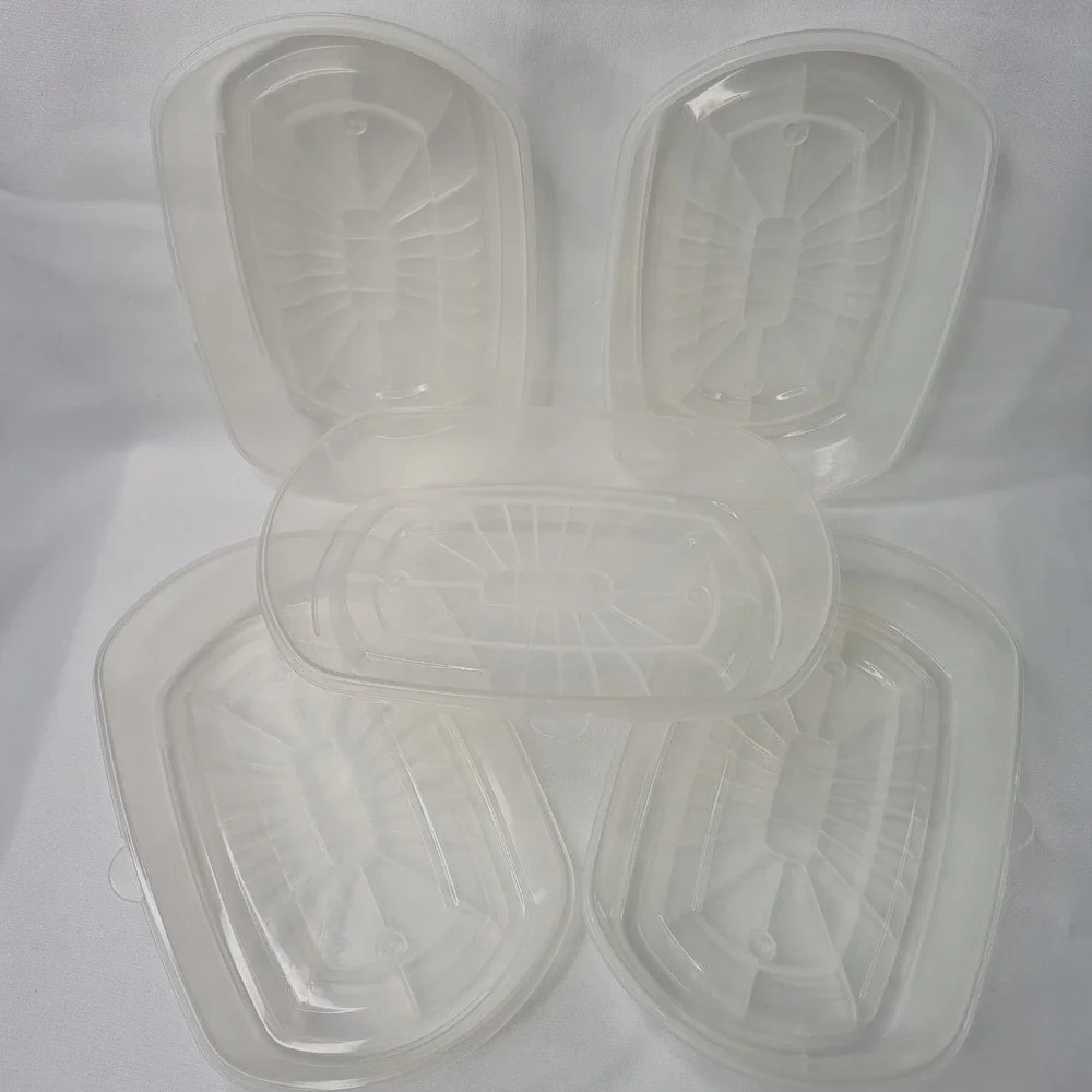 FoodSaver FreshSaver Deli Containers 6